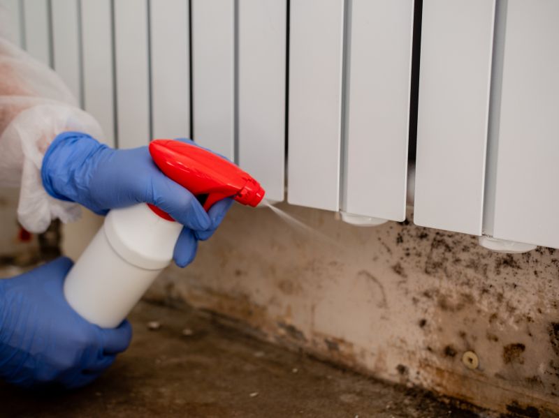 Attic Mold Remediation in Bergen County, NJ