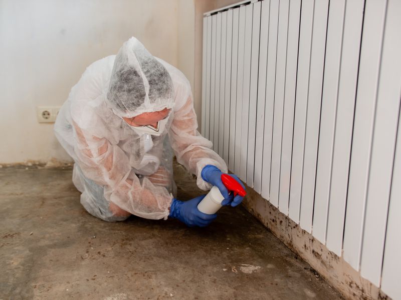Basement Mold Remediation in Fort Worth, TX