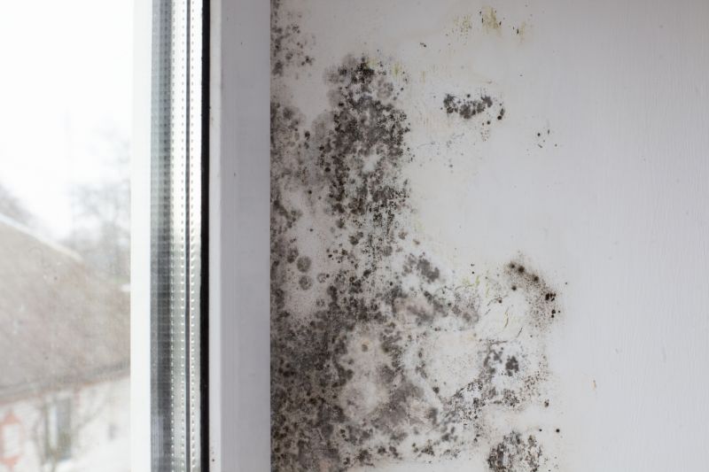 Black Mold Remediation in Essex County, NJ
