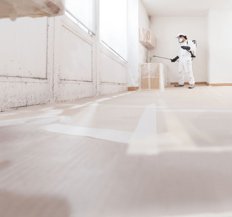Black Mold Remediation in Fort Lauderdale, FL