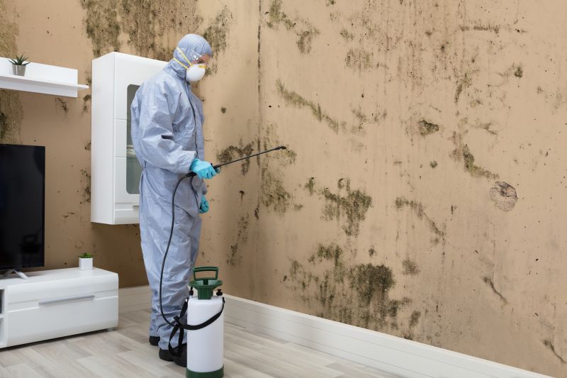 Black Mold Removal in Boca Raton, FL