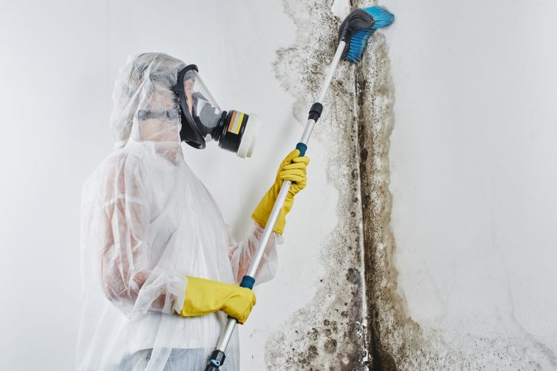 Garage Mold Remediation in Essex County, NJ