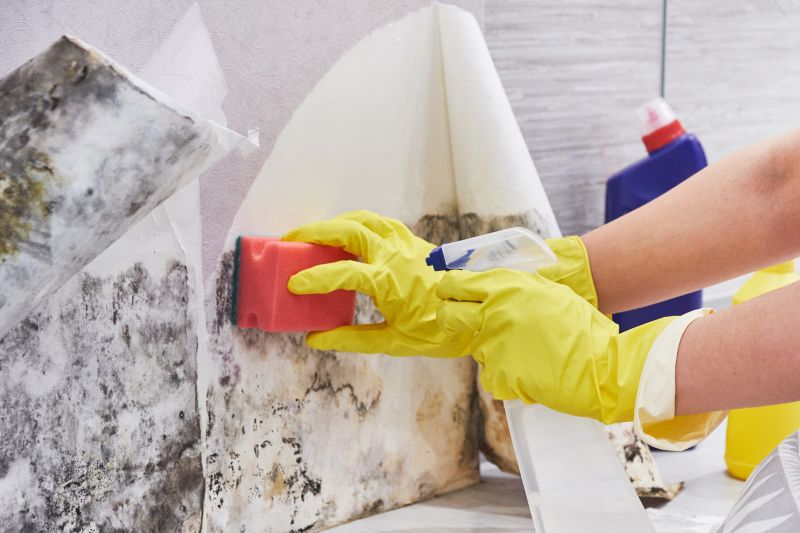 Mold Abatement Service in Jupiter, FL