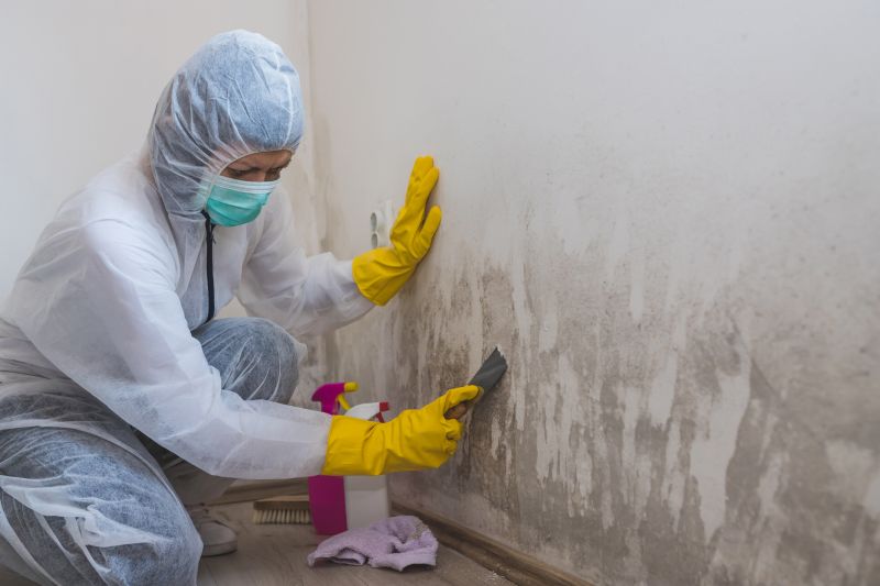 Mold Restoration in Boca Raton, FL