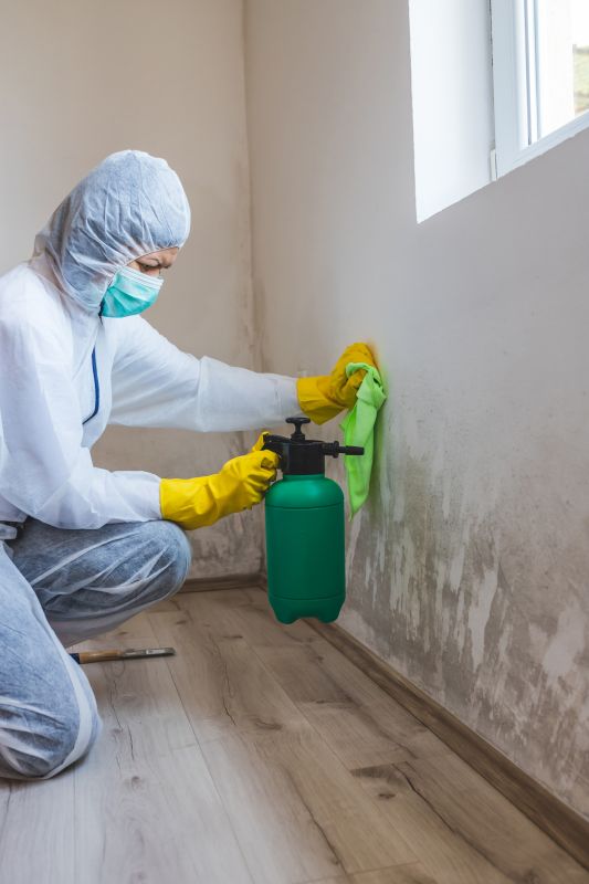 Mold Restoration in Bergen County, NJ