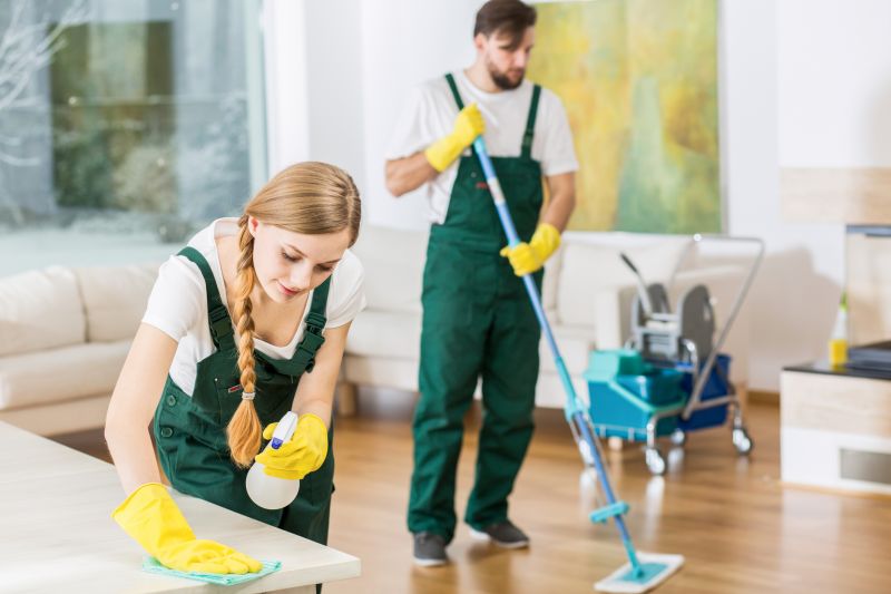 Independent Cleaning Professionals