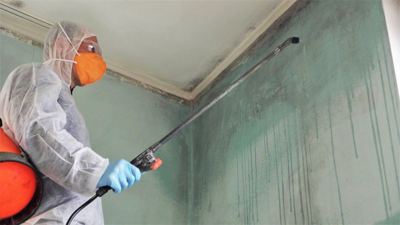 Attic Mold Removal in Jupiter, FL