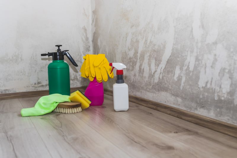 Black Mold Remediation in Fort Lauderdale, FL