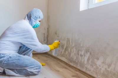 Crawl Space Mold Removal in Jupiter, FL
