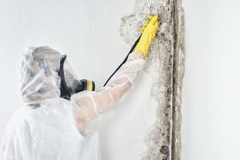 Mold Control in Frisco, TX