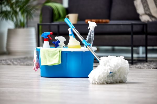 Total House Cleaning